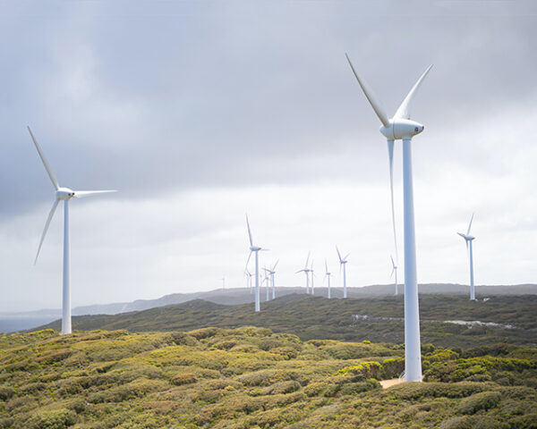 Big Wind Farm